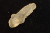 TECTITE: verre libyque - (outil taillé)