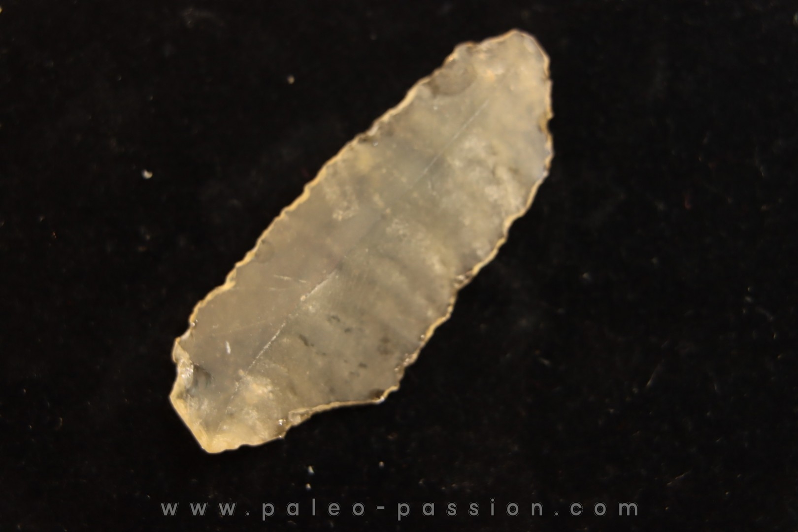 TECTITE: Libyan glass - ARTIFACT