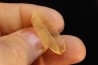 TECTITE: verre libyque - (outil taillé)