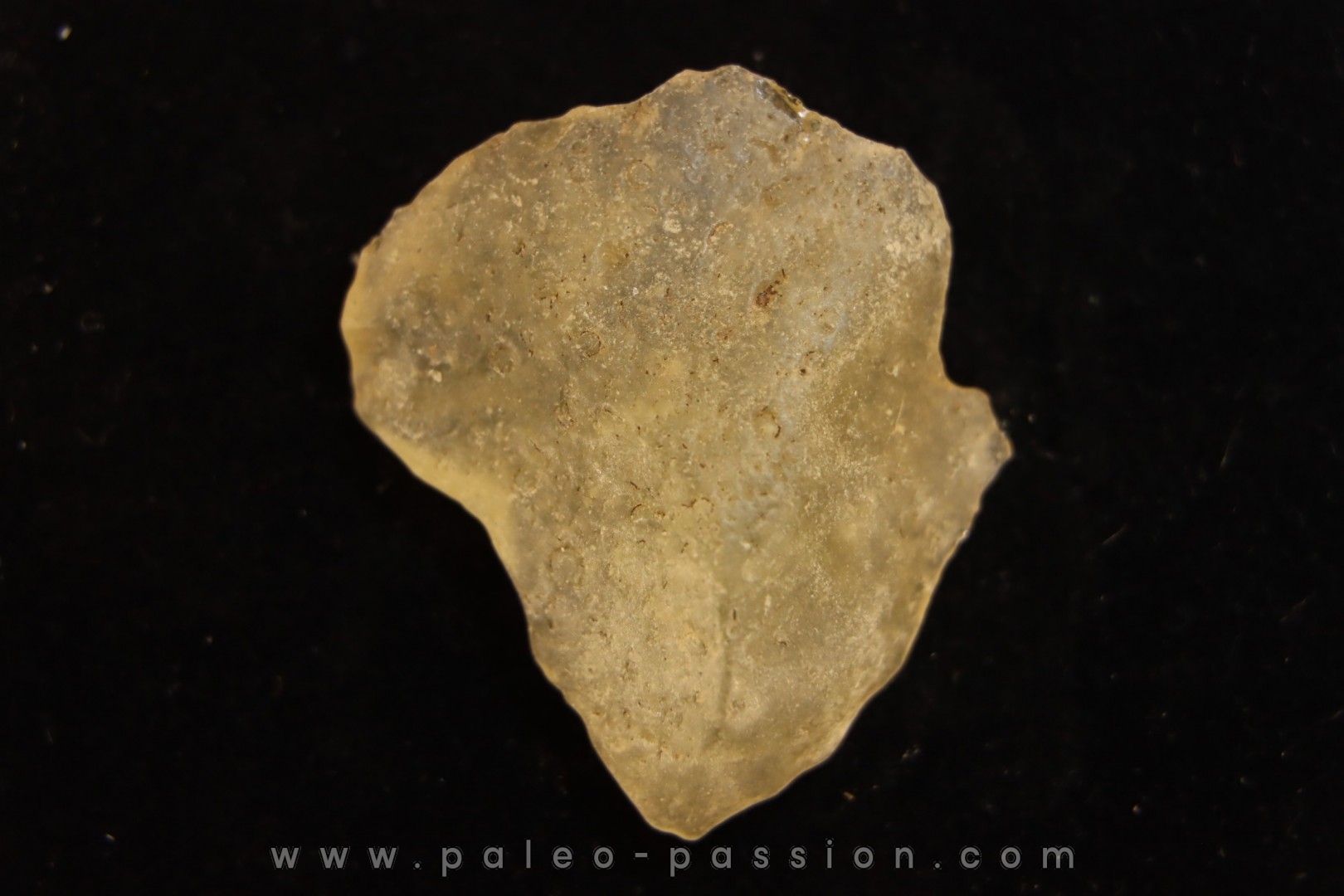 TECTITE: Libyan glass - ARTIFACT