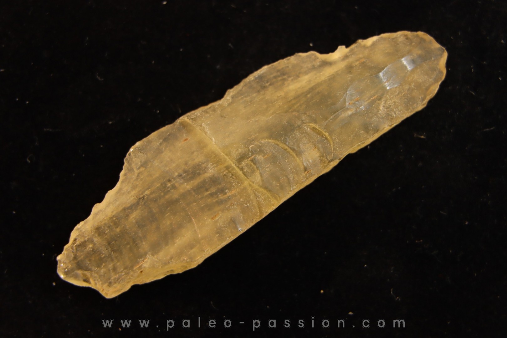 TECTITE: verre libyque - (outil taillé)