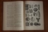 Treatise on INVERTEBRATE PALEONTOLOGY - Part G - BRYOZOA