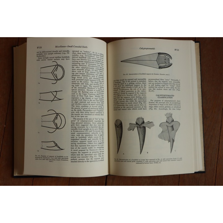 Treatise on INVERTEBRATE PALEONTOLOGY - Part W - MISCELLANEA