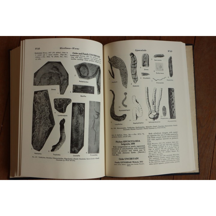 Treatise on INVERTEBRATE PALEONTOLOGY - Part W - MISCELLANEA