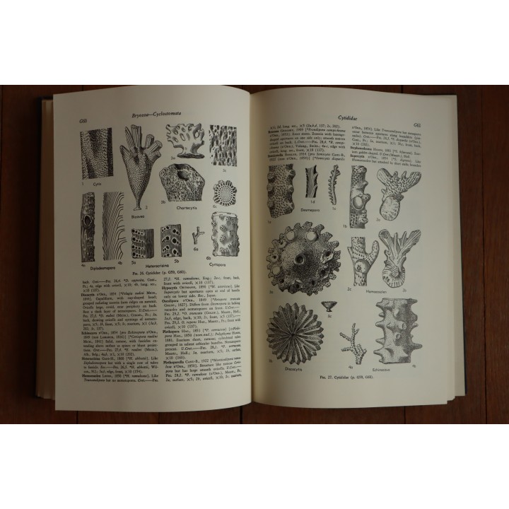 Treatise on INVERTEBRATE PALEONTOLOGY - Part G - BRYOZOA