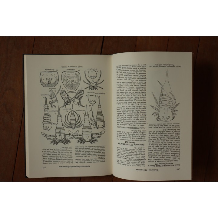 Treatise on INVERTEBRATE PALEONTOLOGY - Part P - ARTHROPODA (2)