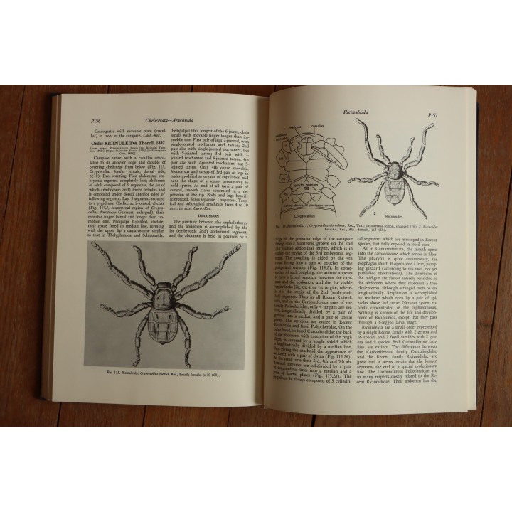 Treatise on INVERTEBRATE PALEONTOLOGY - Part P - ARTHROPODA (2)