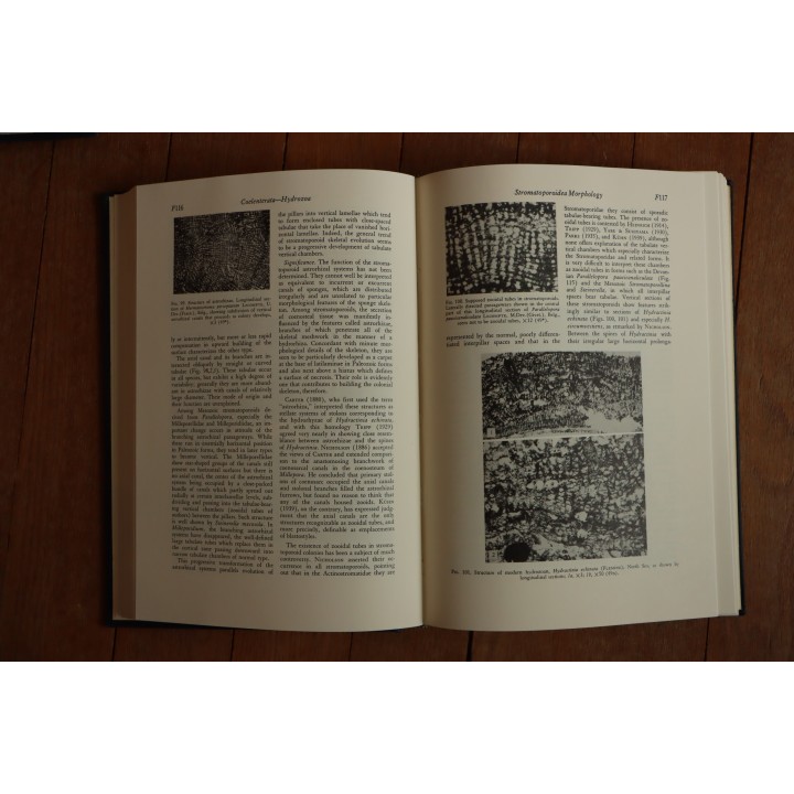 Treatise on INVERTEBRATE PALEONTOLOGY - Part F - COELENTERATA