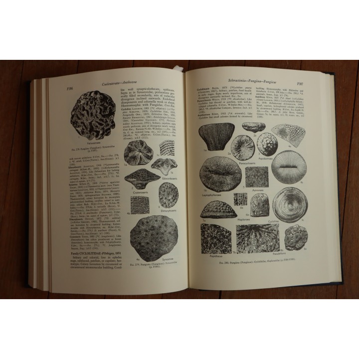 Treatise on INVERTEBRATE PALEONTOLOGY - Part F - COELENTERATA