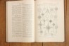 Treatise on INVERTEBRATE PALEONTOLOGY - Part D - PROTISTA (3)