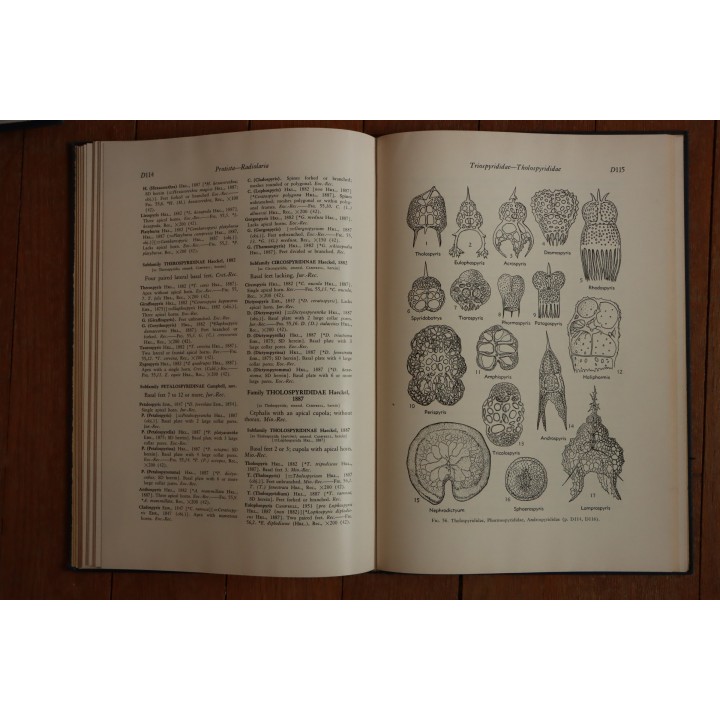 Treatise on INVERTEBRATE PALEONTOLOGY - Part D - PROTISTA (3)
