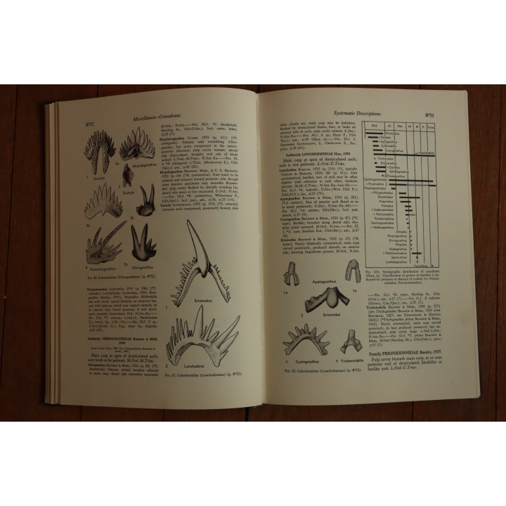 Treatise on INVERTEBRATE PALEONTOLOGY - Part W - MISCELLANEA