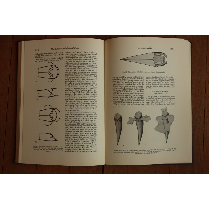 Treatise on INVERTEBRATE PALEONTOLOGY - Part W - MISCELLANEA