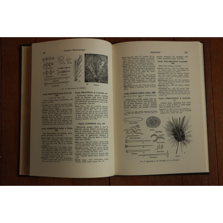 Treatise on INVERTEBRATE PALEONTOLOGY - Part E - ARCHAEOCYATHA and PORIFERA