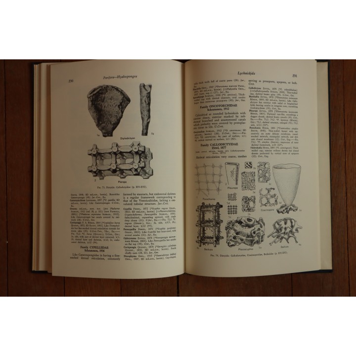 Treatise on INVERTEBRATE PALEONTOLOGY - Part E - ARCHAEOCYATHA and PORIFERA