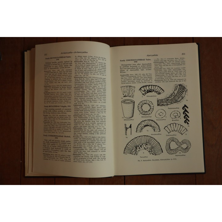 Treatise on INVERTEBRATE PALEONTOLOGY - Part E - ARCHAEOCYATHA and PORIFERA