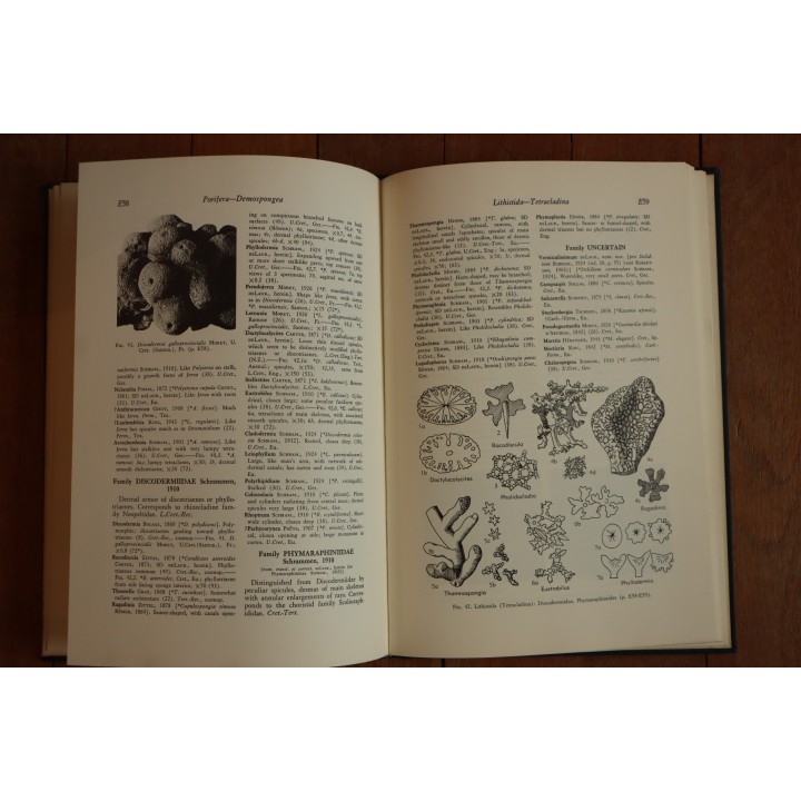 Treatise on INVERTEBRATE PALEONTOLOGY - Part E - ARCHAEOCYATHA and PORIFERA