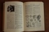 Treatise on INVERTEBRATE PALEONTOLOGY - Part E - ARCHAEOCYATHA and PORIFERA