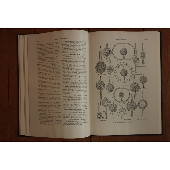 Treatise on INVERTEBRATE PALEONTOLOGY - Part D - PROTISTA (3)
