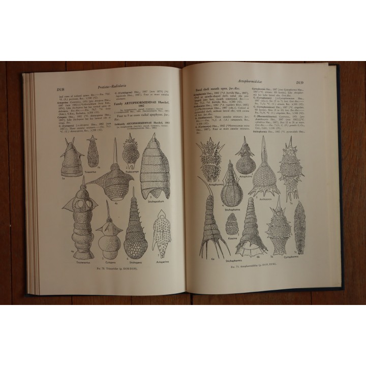 Treatise on INVERTEBRATE PALEONTOLOGY - Part D - PROTISTA (3)