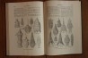 Treatise on INVERTEBRATE PALEONTOLOGY - Part D - PROTISTA (3)