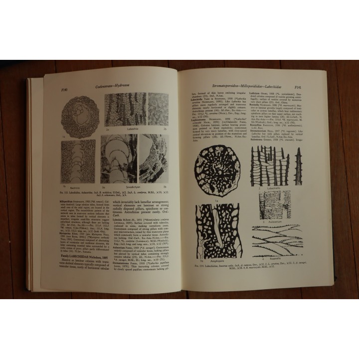Treatise on INVERTEBRATE PALEONTOLOGY - Part F - COELENTERATA