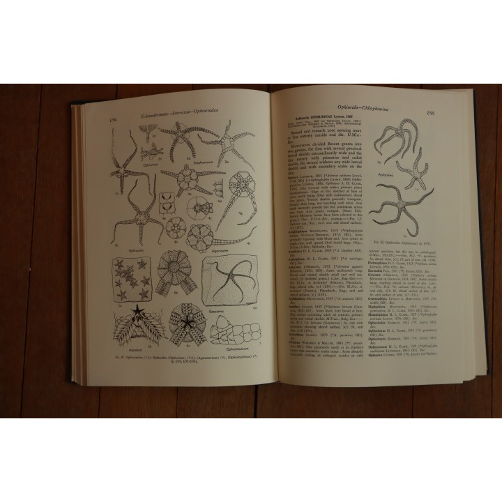 Treatise on INVERTEBRATE PALEONTOLOGY - Part U - ECHINODERMATA (3)