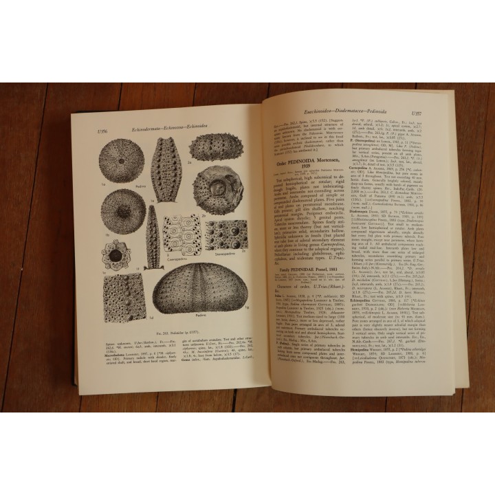 Treatise on INVERTEBRATE PALEONTOLOGY - Part U - ECHINODERMATA (3)