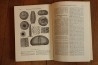 Treatise on INVERTEBRATE PALEONTOLOGY - Part U - ECHINODERMATA (3)
