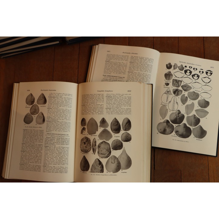 Treatise on INVERTEBRATE PALEONTOLOGY - Part H - BRACHIOPODA volumes 1 et 2