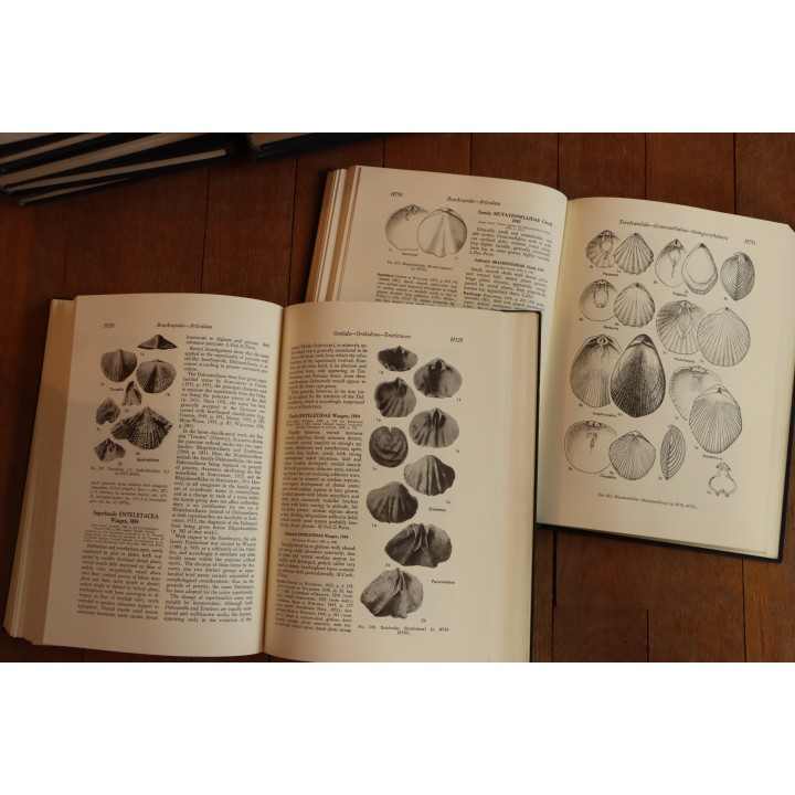 Treatise on INVERTEBRATE PALEONTOLOGY - Part H - BRACHIOPODA volumes 1 et 2