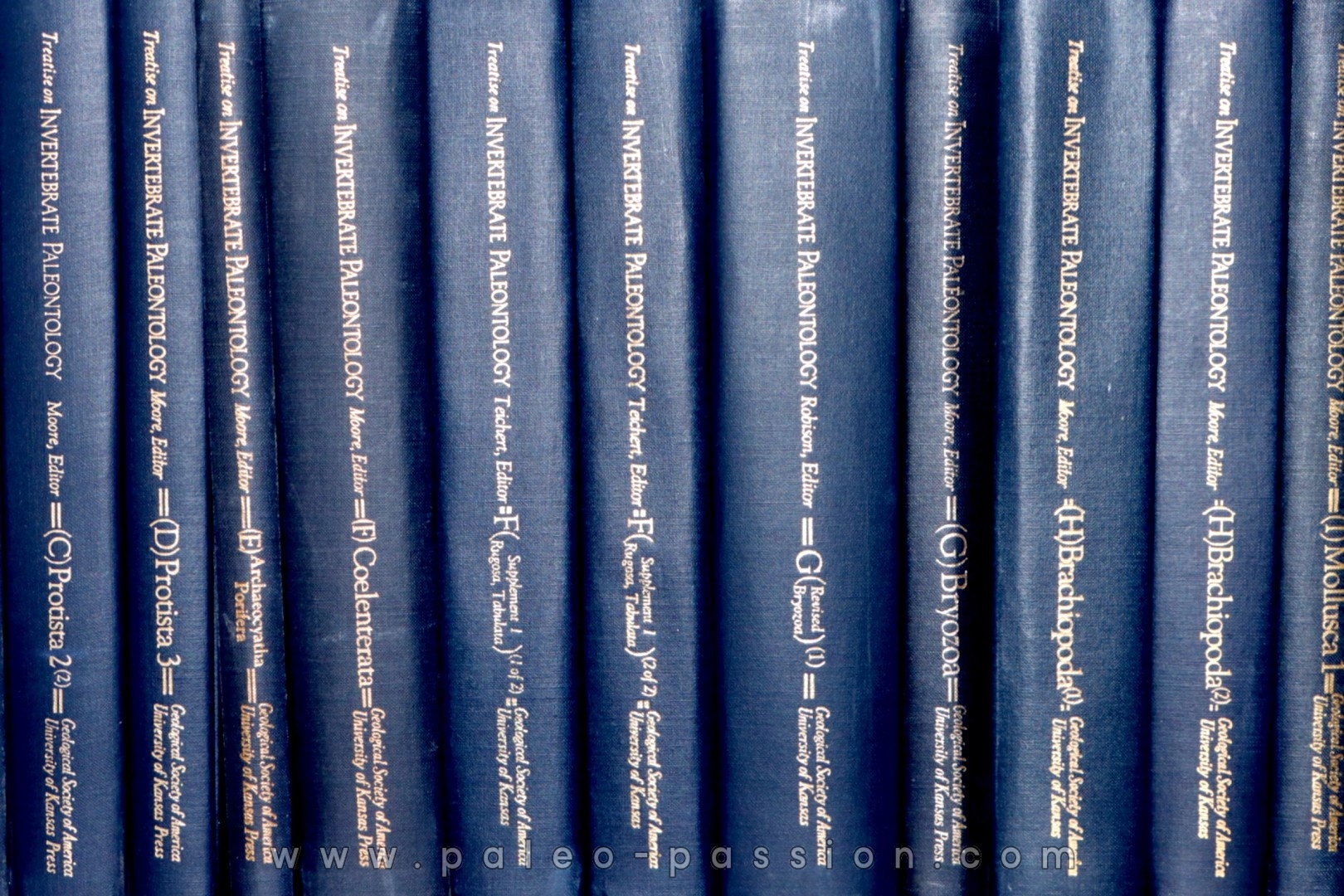 Treatise on INVERTEBRATE PALEONTOLOGY - Part H - BRACHIOPODA volumes 1 et 2