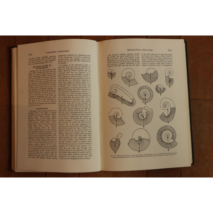 Treatise on INVERTEBRATE PALEONTOLOGY - Part L - MOLLUSCA (4) cephalopoda ammonoidea