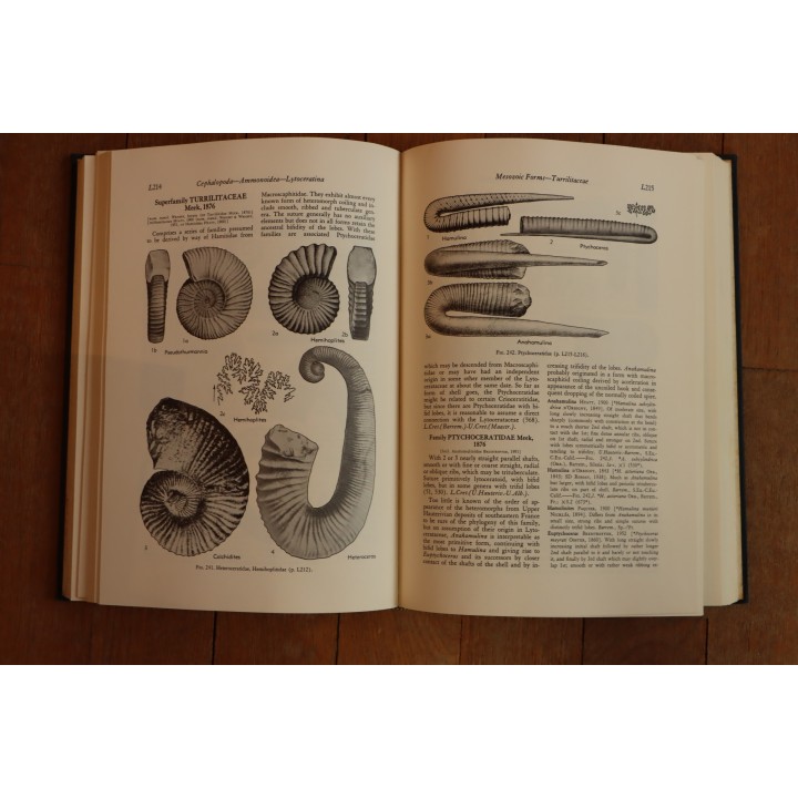 Treatise on INVERTEBRATE PALEONTOLOGY - Part L - MOLLUSCA (4) cephalopoda ammonoidea