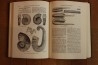 Treatise on INVERTEBRATE PALEONTOLOGY - Part L - MOLLUSCA (4) cephalopoda ammonoidea