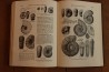 Treatise on INVERTEBRATE PALEONTOLOGY - Part L - MOLLUSCA (4) cephalopoda ammonoidea