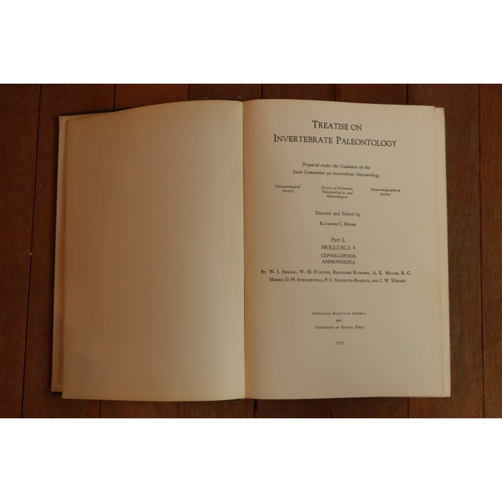 Treatise on INVERTEBRATE PALEONTOLOGY - Part L - MOLLUSCA (4) cephalopoda ammonoidea