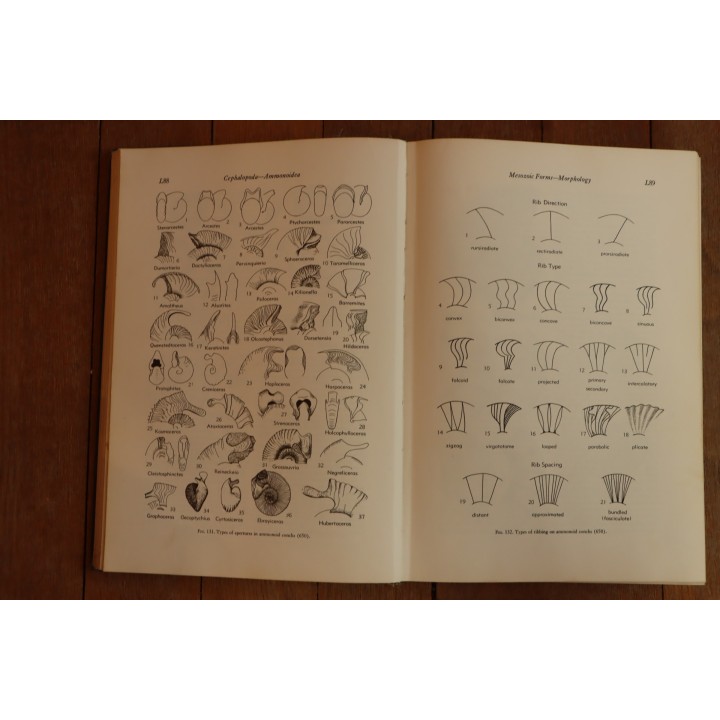 Treatise on INVERTEBRATE PALEONTOLOGY - Part L - MOLLUSCA (4) cephalopoda ammonoidea