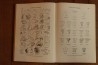 Treatise on INVERTEBRATE PALEONTOLOGY - Part L - MOLLUSCA (4) cephalopoda ammonoidea