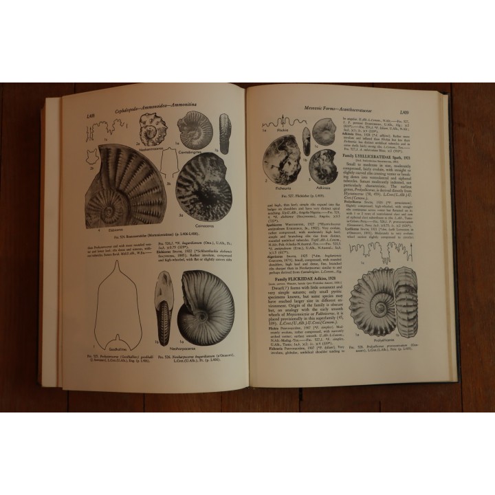Treatise on INVERTEBRATE PALEONTOLOGY - Part L - MOLLUSCA (4) cephalopoda ammonoidea