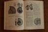 Treatise on INVERTEBRATE PALEONTOLOGY - Part L - MOLLUSCA (4) cephalopoda ammonoidea
