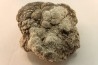 dinosaur coprolithe - jurassic - Morrison Formation - Wyoming, USA