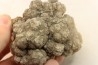 coprolithe de dinosaure - jurassique - Morrison Formation - Wyoming, USA