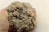 dinosaur coprolithe - jurassic - Morrison Formation - Wyoming, USA