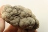 dinosaur coprolithe - jurassic - Morrison Formation - Wyoming, USA