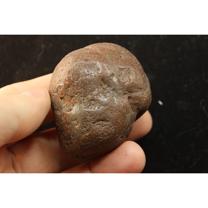 Gastrolith of  Dinosaur - Lower Cretaceous - Cloverly formation - Montana -USA