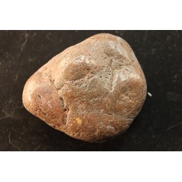 Gastrolithe de dinosaure - Crétacé inférieur - Cloverly formation - Montana - USA