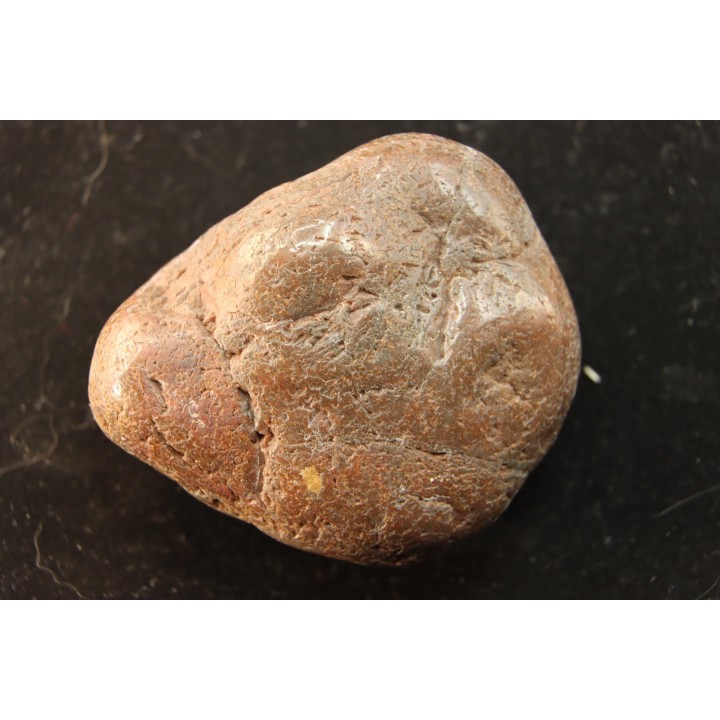 Gastrolithe de dinosaure - Crétacé inférieur - Cloverly formation - Montana - USA