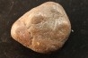 Gastrolith of Dinosaur - Lower Cretaceous - Cloverly formation - Montana -USA