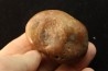Gastrolith of Dinosaur - Lower Cretaceous - Cloverly formation - Montana -USA